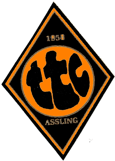 Vereinswappen TTC Aßling